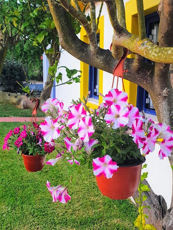 Sondela Self Catering São Martinho do Porto Exterior foto