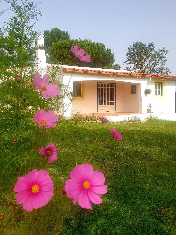 Sondela Self Catering São Martinho do Porto Exterior foto