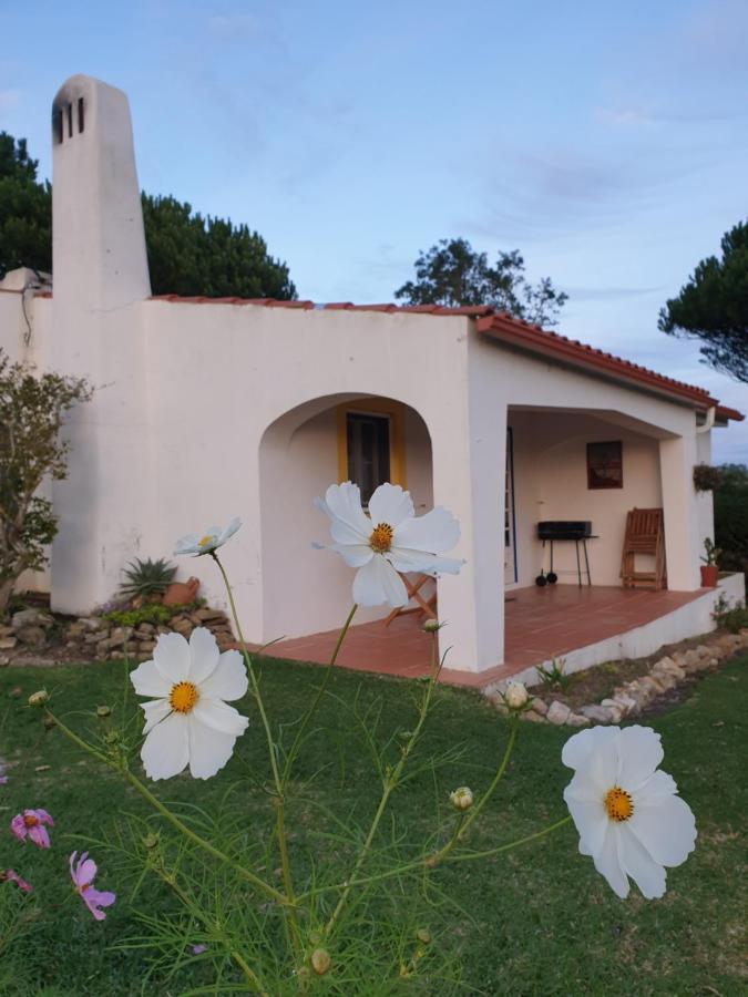 Sondela Self Catering São Martinho do Porto Exterior foto