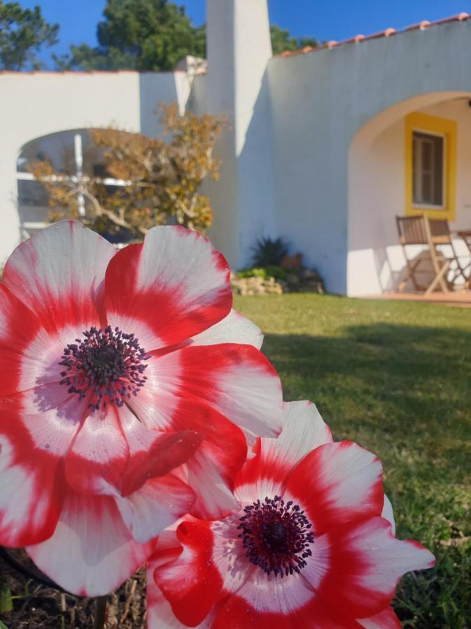 Sondela Self Catering São Martinho do Porto Exterior foto