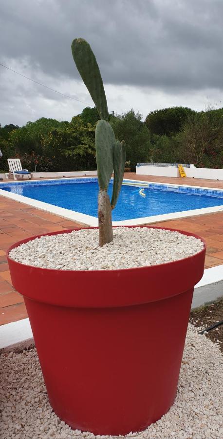 Sondela Self Catering São Martinho do Porto Exterior foto